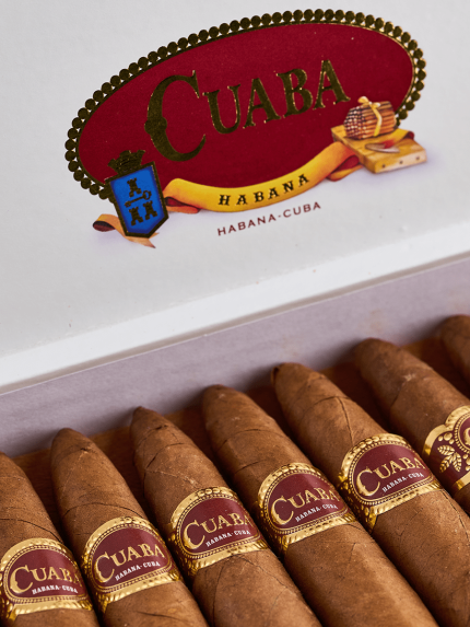 Cuaba Tradicionales 25 a closer look at the case of this premium Cuban handmade cigars collection by Teddy's Speakeasy!
