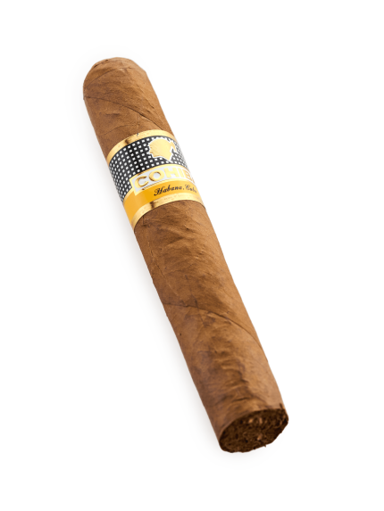 Cohiba Robustos SLB 25 the perfection of handmade cigar by Teddy's Speakeasy!