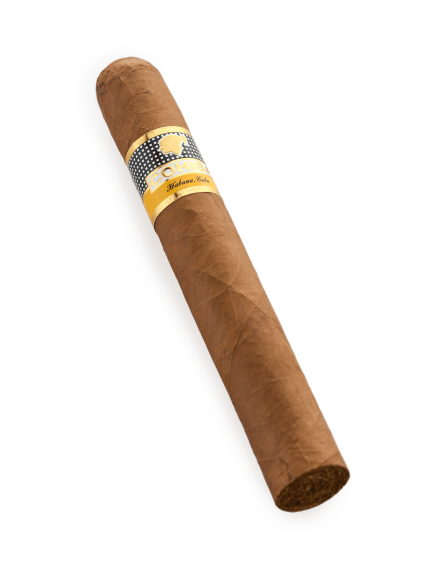 Cohiba Siglo VI SLB 25 meet the perfection of a single cigar by Teddy's Speakeasy