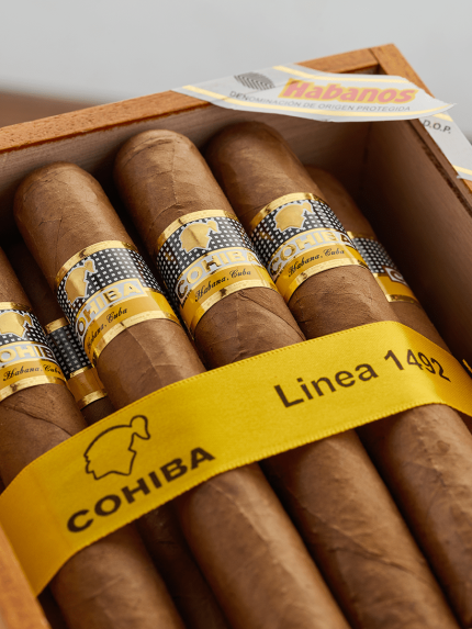 Cohiba Siglo VI SLB 25 - Teddy's Speakeasy