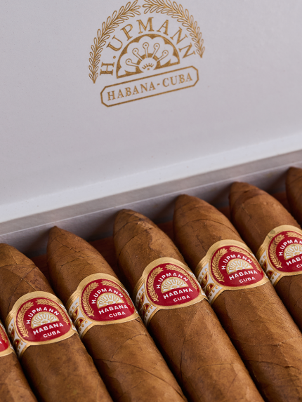 H. Upmann No2 25 the perfect Cuban collection of handmade cigars by Teddy's Speakeasy!