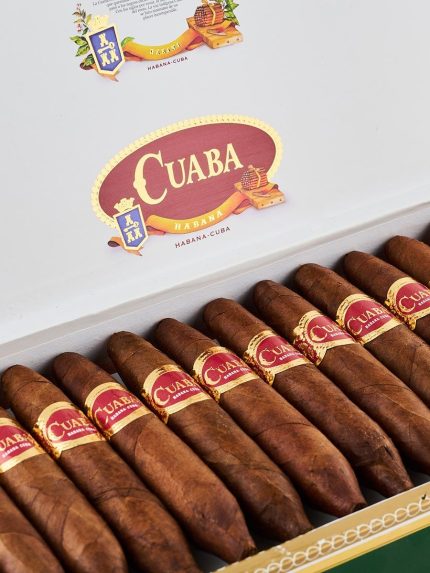 Cuaba Divinos 25 - Image 2